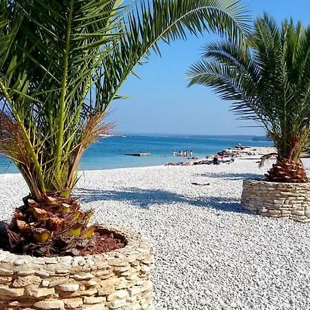 Διαμέρισμα The Big Smile